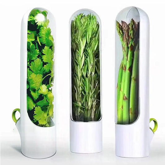 Herb Saver: Freshness Container For Kitchen